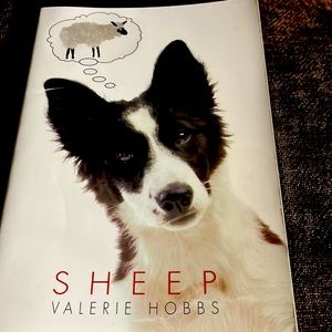 Sheep Book